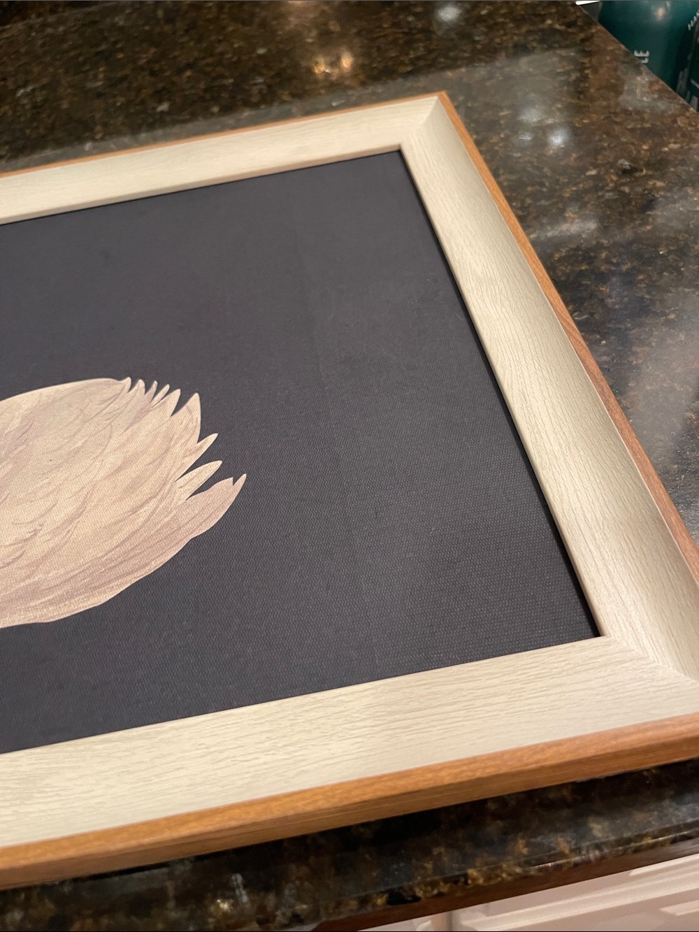 Framed Swan Artwork - Cream Swan on Dark Backgroundy - Picture 4 of 14